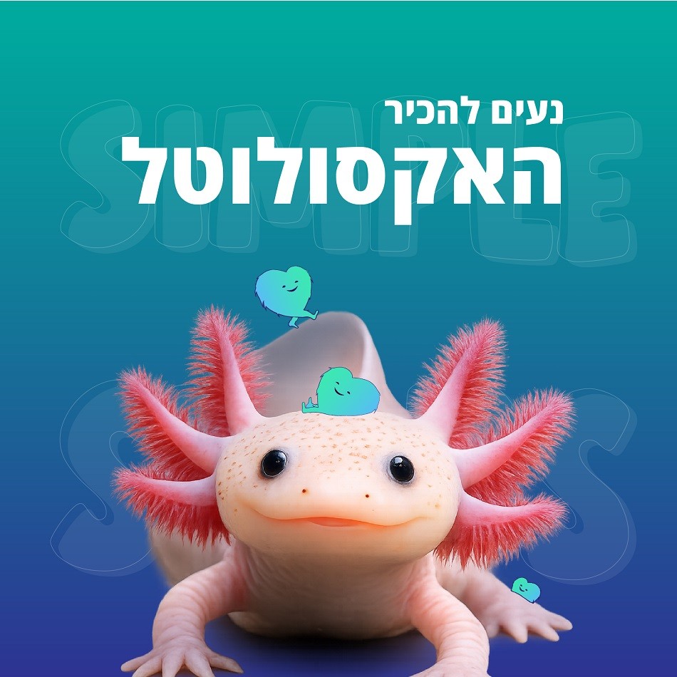 האקסולוטל - פיטר פן של המים