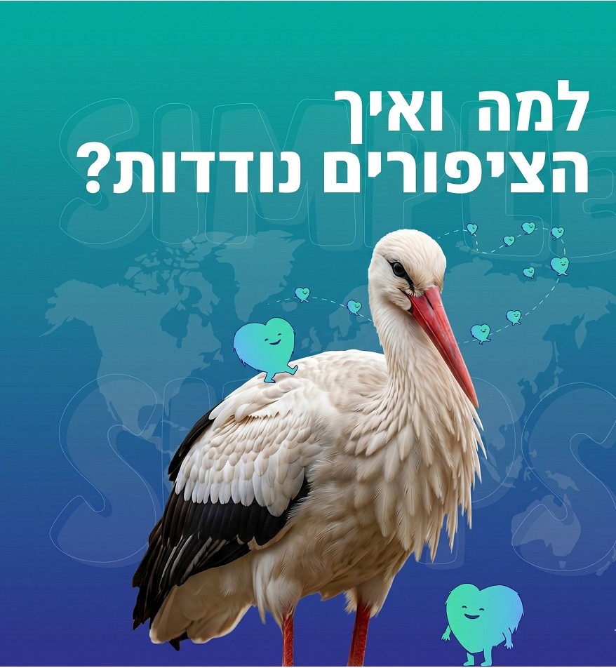 הסודות המופלאים של נדידת הציפורים