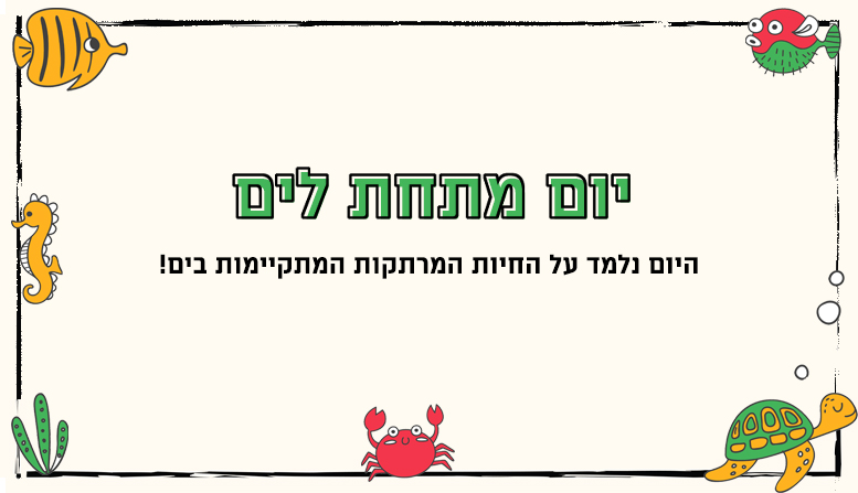 יום מתחת למים