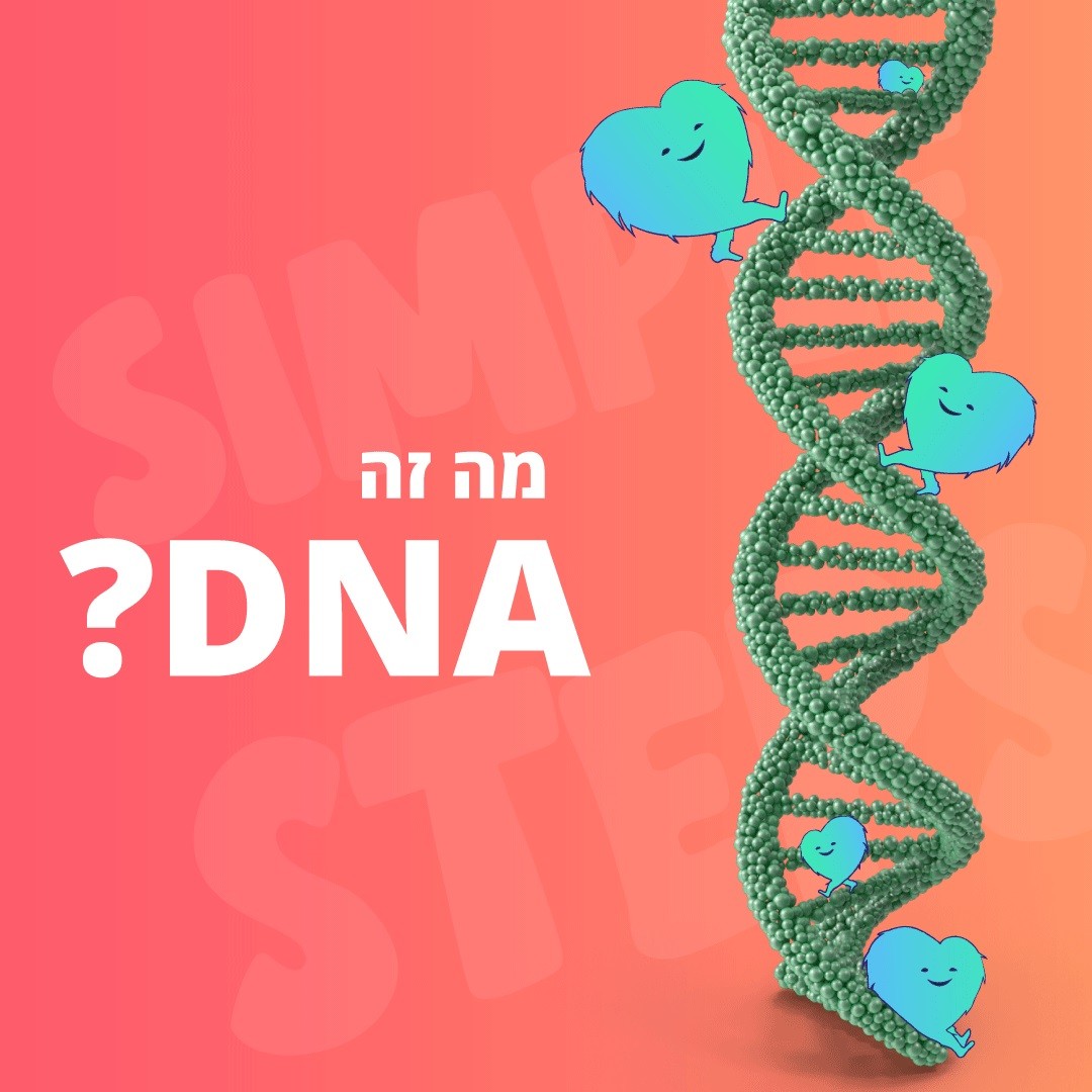 מה זה DNA?