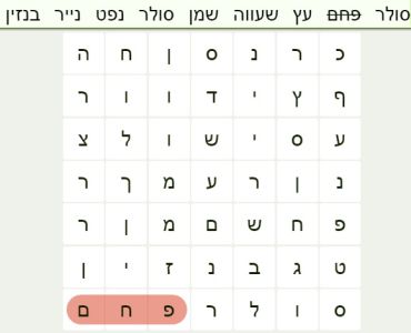 תפזורת חומרי דלק