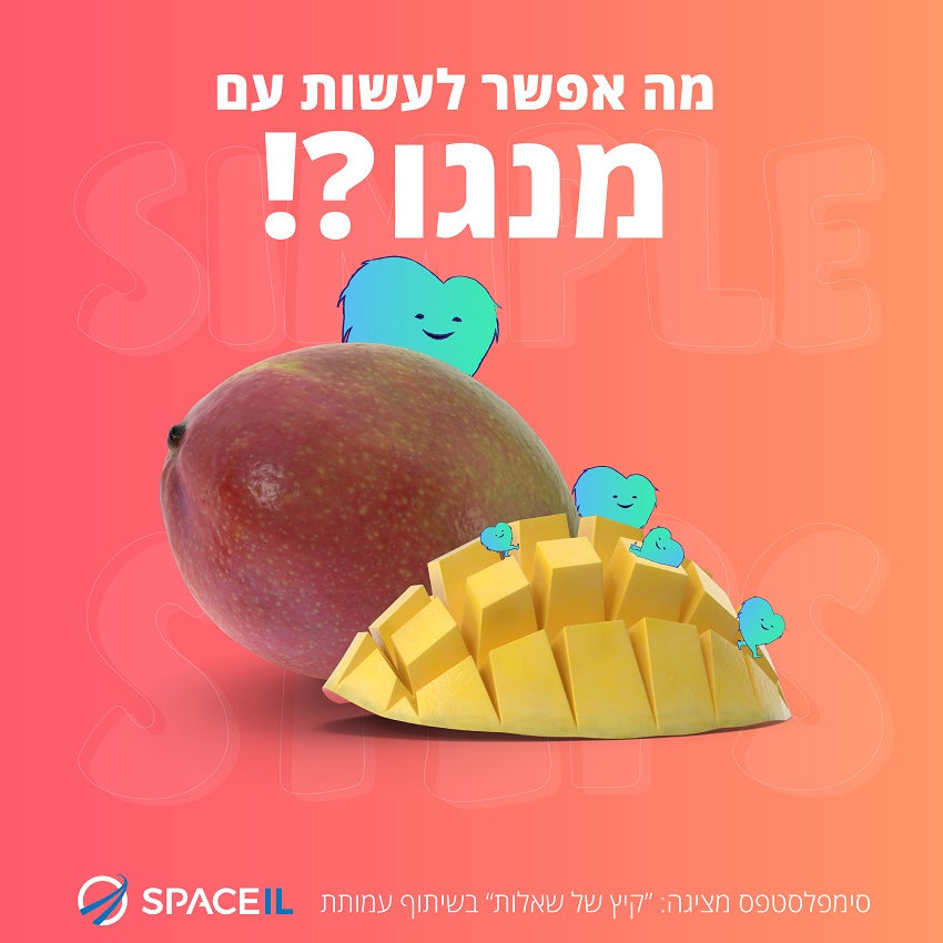 מה אפשר לעשות עם מנגו?