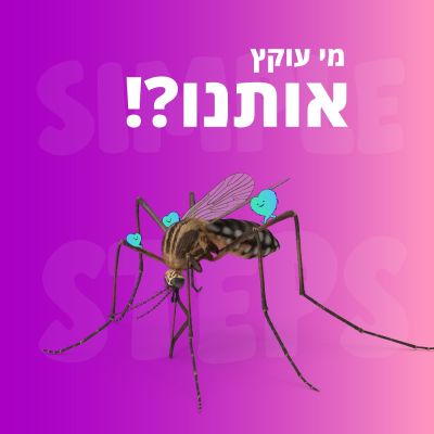 מי עוקץ אותנו?
