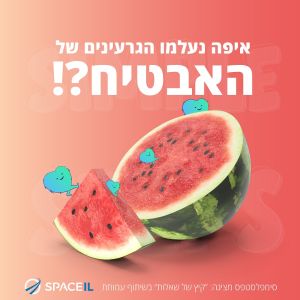 איפה נעלמו הגרעינים של האבטיח?