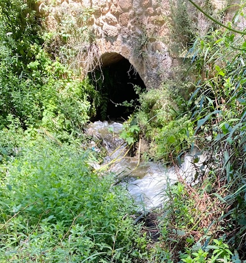 שבע טחנות שבע טחנות