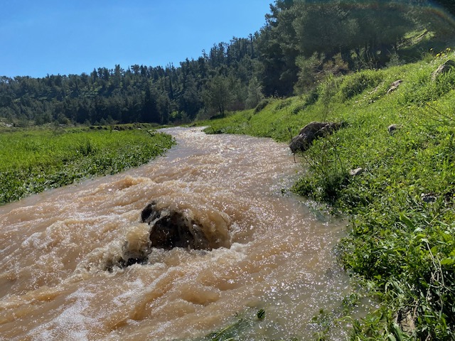 נחל מודיעים וצוקי שילת נחל מודיעים וצוקי שילת