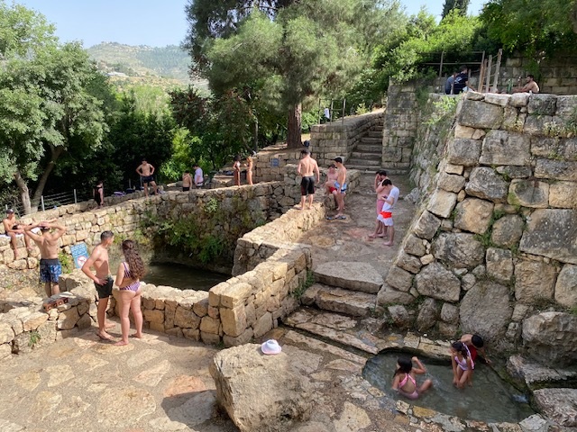 הסטף הסטף: מסע קסום בהרי ירושלים