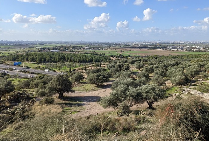 תל חדיד ויקיפדיה תל חדיד